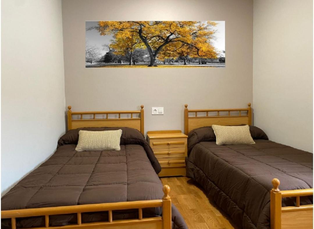 Chalet A Solo 5 Min De Ourense Ciudad Con Jardin Y Barbacoa Εξωτερικό φωτογραφία
